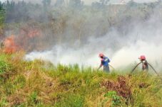 Waspada Kemarau Panjang, BPBD Kota Batu Ingatkan Ancaman Karhutla dan Krisis Air