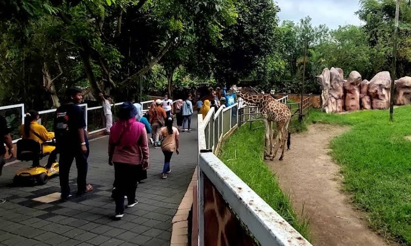 Kota Batu Diserbu Wisatawan Saat Libur Panjang, JTP hingga Selecta Penuh Pengunjung