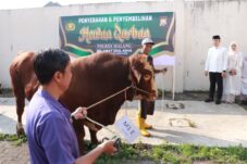 Polres Malang Kurban 22 Sapi dan 73 Kambing, Daging Dibagikan ke Warga hingga Ponpes 14 baacd93f 7a93 4648 916b c1f607f82431