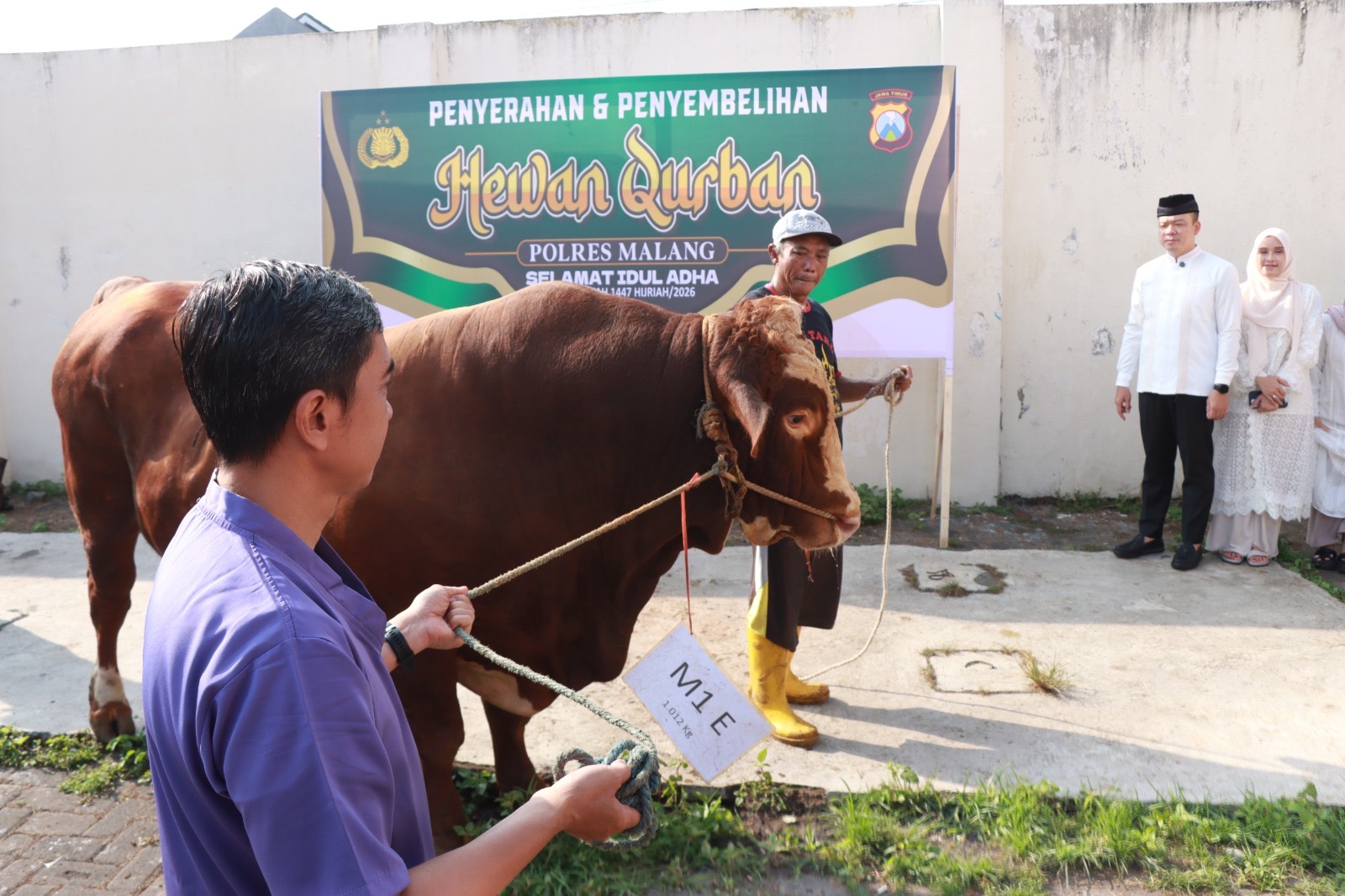 Polres Malang Kurban 22 Sapi dan 73 Kambing, Daging Dibagikan ke Warga hingga Ponpes 2 baacd93f 7a93 4648 916b c1f607f82431