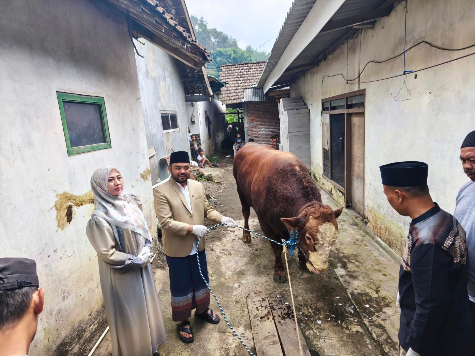 Daging Sapi Kurban Prabowo di Kota Batu Lebihi Jumlah KK 2 d745db73 9c44 4e3c 8c60 a2d223f15582
