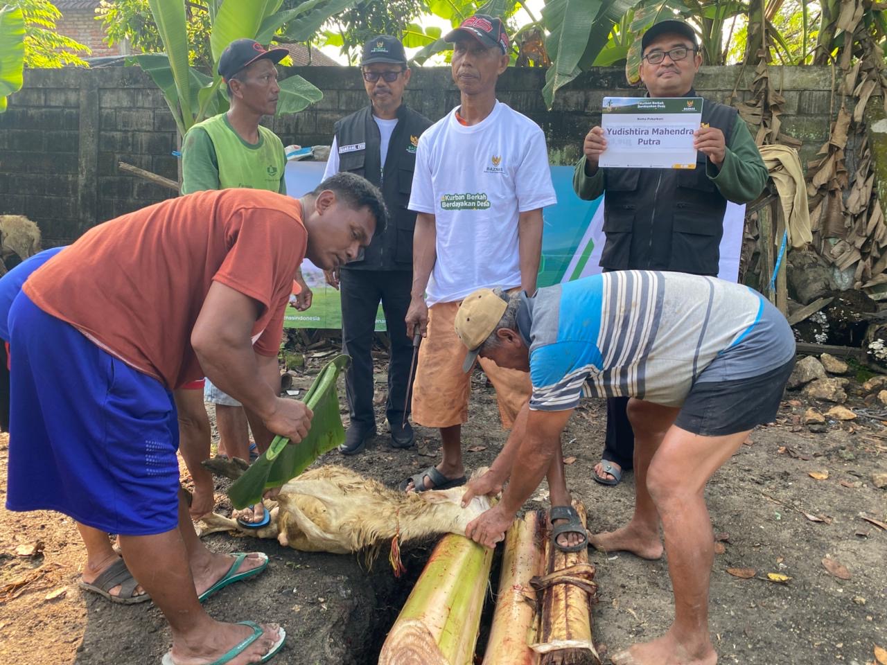 BAZNAS Lamongan Salurkan 40 Hewan Kurban untuk Ratusan Warga di Selatan Lamongan