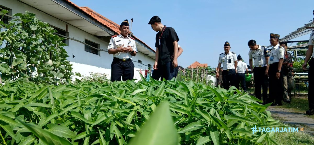 Dukung Program MBG, Lapas Lamongan Suplai Selada Hidroponik ke SPPG Keduyung