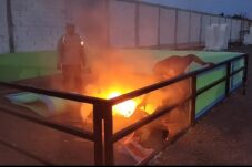 Polsek Candi Cek Dugaan Sabung Ayam di Klurak Sidoarjo, Tak Temukan Aktivitas Perjudian 18 Polsek Candi Cek Dugaan Sabung Ayam di Klurak Sidoarjo, Tak Temukan Aktivitas Perjudian