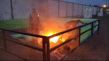 Polsek Candi Cek Dugaan Sabung Ayam di Klurak Sidoarjo, Tak Temukan Aktivitas Perjudian