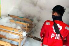 Cegah Penyebaran DBD, Relawan PMI Jember Fogging 50 Rumah Warga di Desa Selodakon