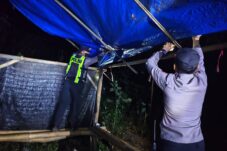 Polres Malang Bongkar dan Bakar Arena yang Diduga Digunakan untuk Sabung Ayam di Singosari 11 Polres Malang Bongkar dan Bakar Arena yang Diduga Digunakan untuk Sabung Ayam di Singosari