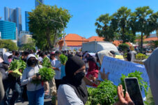 Aksi Bawa Sayuran di Grahadi, Massa Desak MBG Kembali Berjalan Usai Harga Komoditas Anjlok