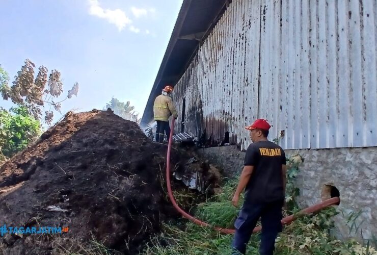 Tumpukan Limbah Pabrik Sumpit di Ngawi Terbakar, Dua Unit PMK Dikerahkan 3 Tumpukan Limbah Pabrik Sumpit di Ngawi Terbakar, Dua Unit PMK Dikerahkan